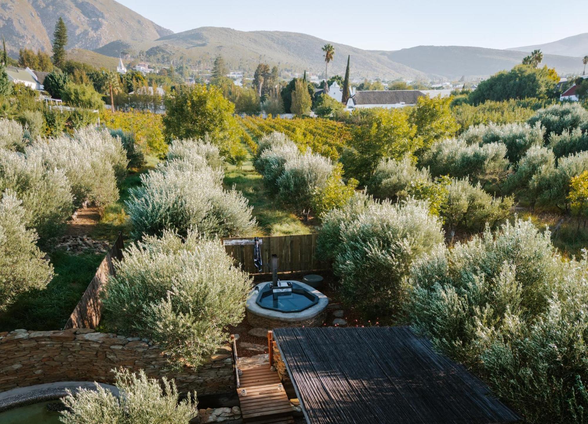 Olive Stone Farm Cottages มอนตากู ภายนอก รูปภาพ
